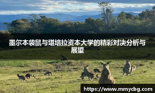 完美电竞平台