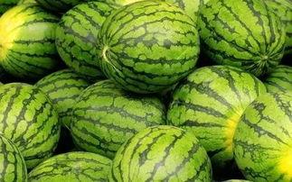 吃瓜网每日大赛聚集地,每日大赛聚集地，精彩赛事一网打尽！